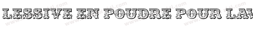 LESSIVE EN POUDRE POUR LAVAGE MAIN字体转换